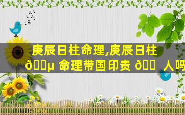 庚辰日柱命理,庚辰日柱 🐵 命理带国印贵 🐠 人吗